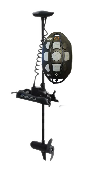Haswing Cayman 80B v2