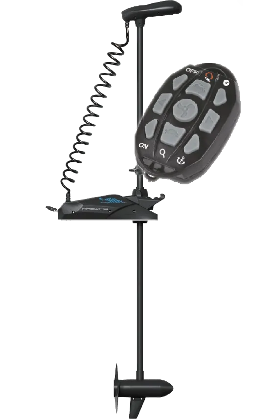 Haswing Cayman GPS 55BY
